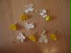 rechnen mit blumen